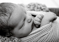Judd - newborn